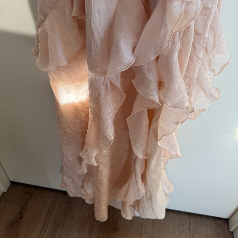 NBD Celenia Maxi Dress in Champagne Butterfly Size Small - Picture 5 of 7